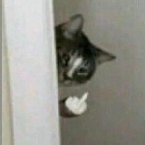 Meet your Posher, Le quang duong